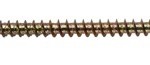 All purpose screw