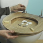 Changing a toilet seat 1