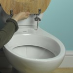 Changing a toilet seat 3