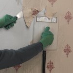 Stripping wallpaper 6