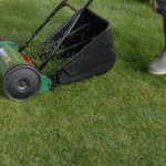 Lawn care and maintenance 7