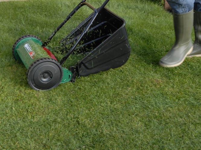 Julian Cassell's DIY Blog » Blog Archive Lawn care and maintenance ...