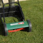 Lawn care and maintenance 8