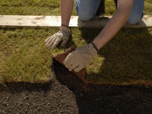 Filling any hollows below turf with topsoil