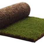 Wickes turf