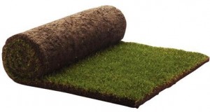 Rolls of turf from Wickes