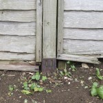 Fence panels